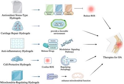 Antioxidant hydrogels for the treatment of osteoarthritis: mechanisms and recent advances